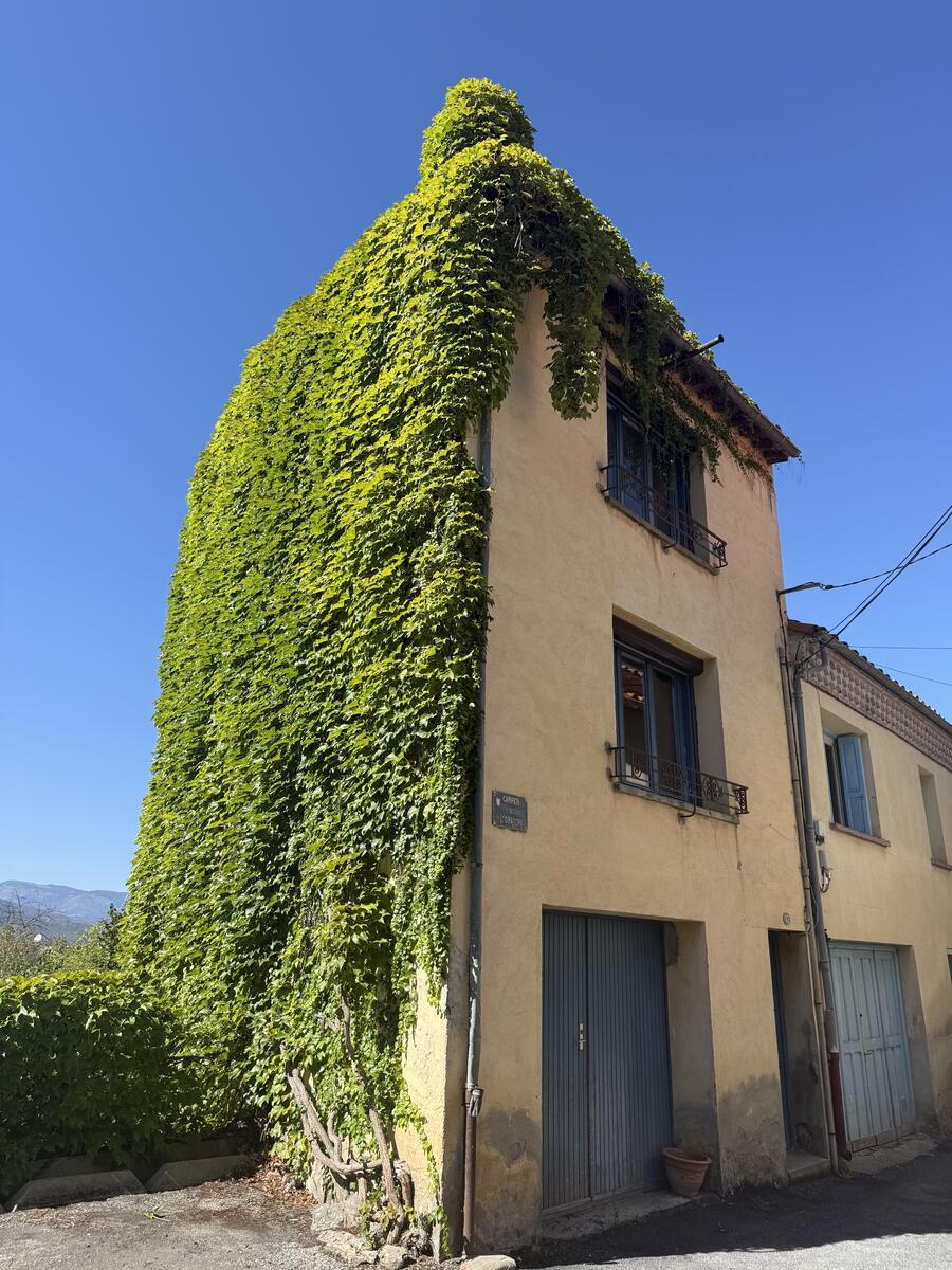 Vente Maison Taurinya