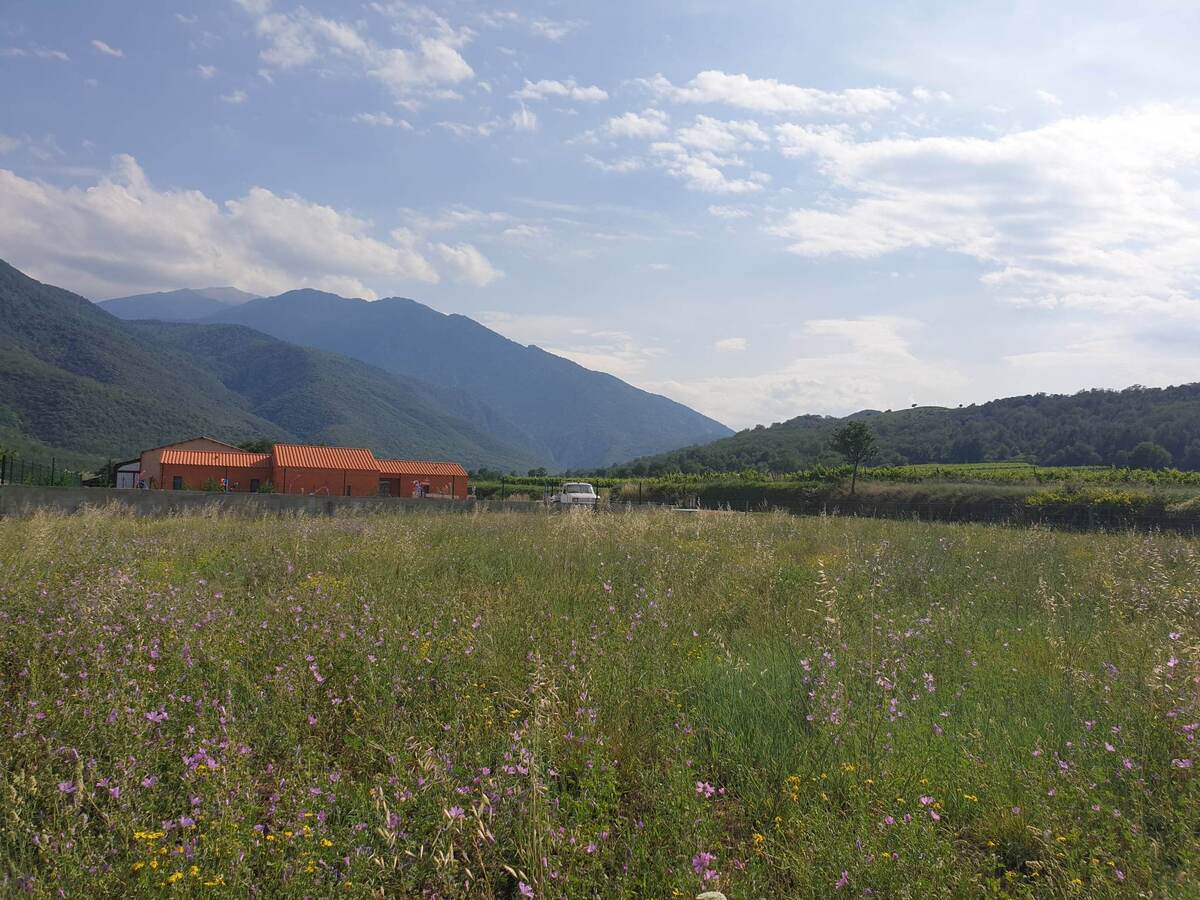 Terrain - Espira-de-Conflent