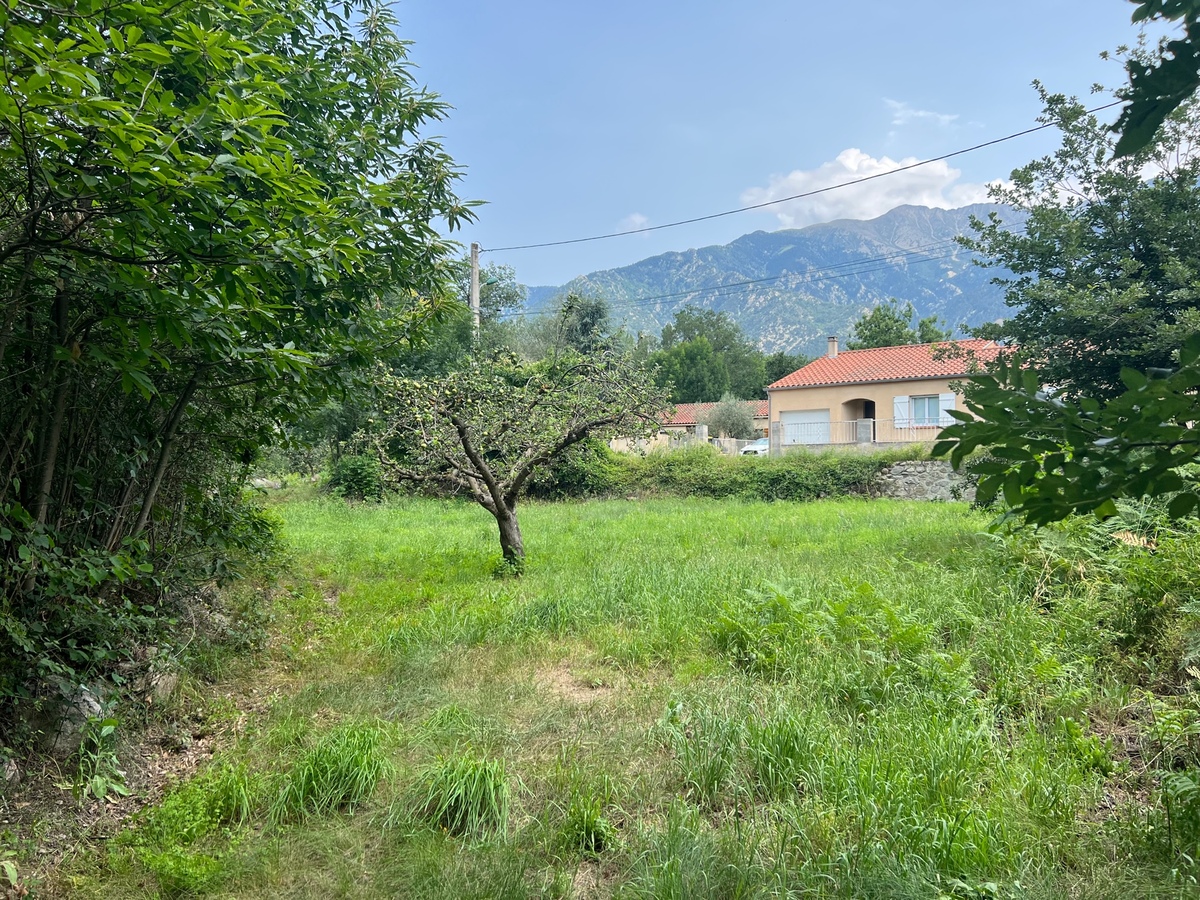 Terrain - Corneilla-de-Conflent