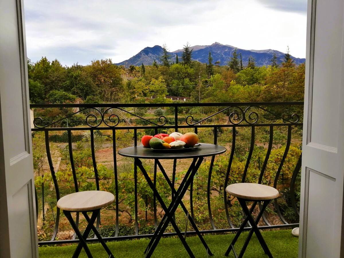 Appartement - Prades